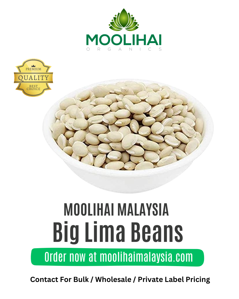 Big Lima Beans / Gundu Mochai – Moolihai Malaysia